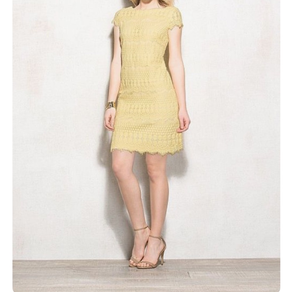 Dressbarn yellow Lace capsleeve back zip dress